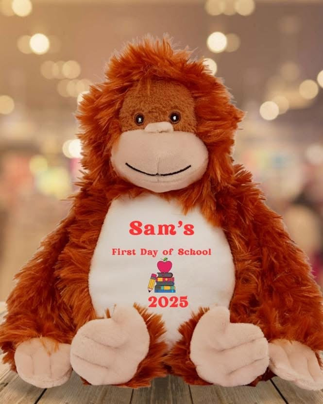 School Teddy